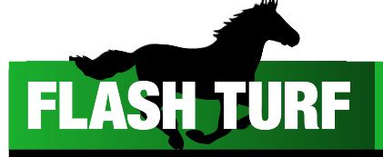 Pronostics Quinté et courses hippiques par Flash Turf.